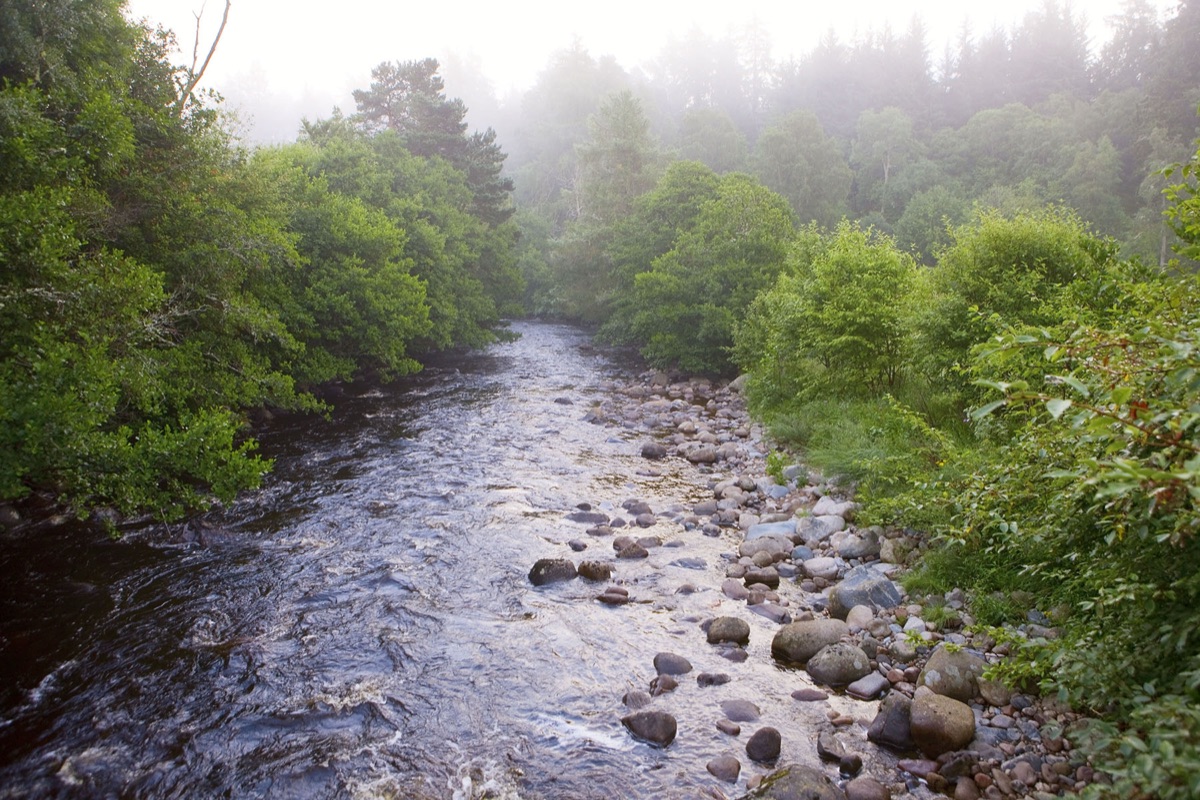 Birkhall – photograph 10 of 10 by Clive Nichols