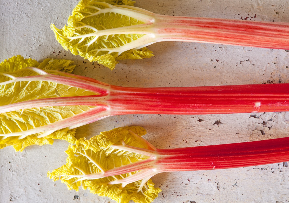 Forced Rhubarb
