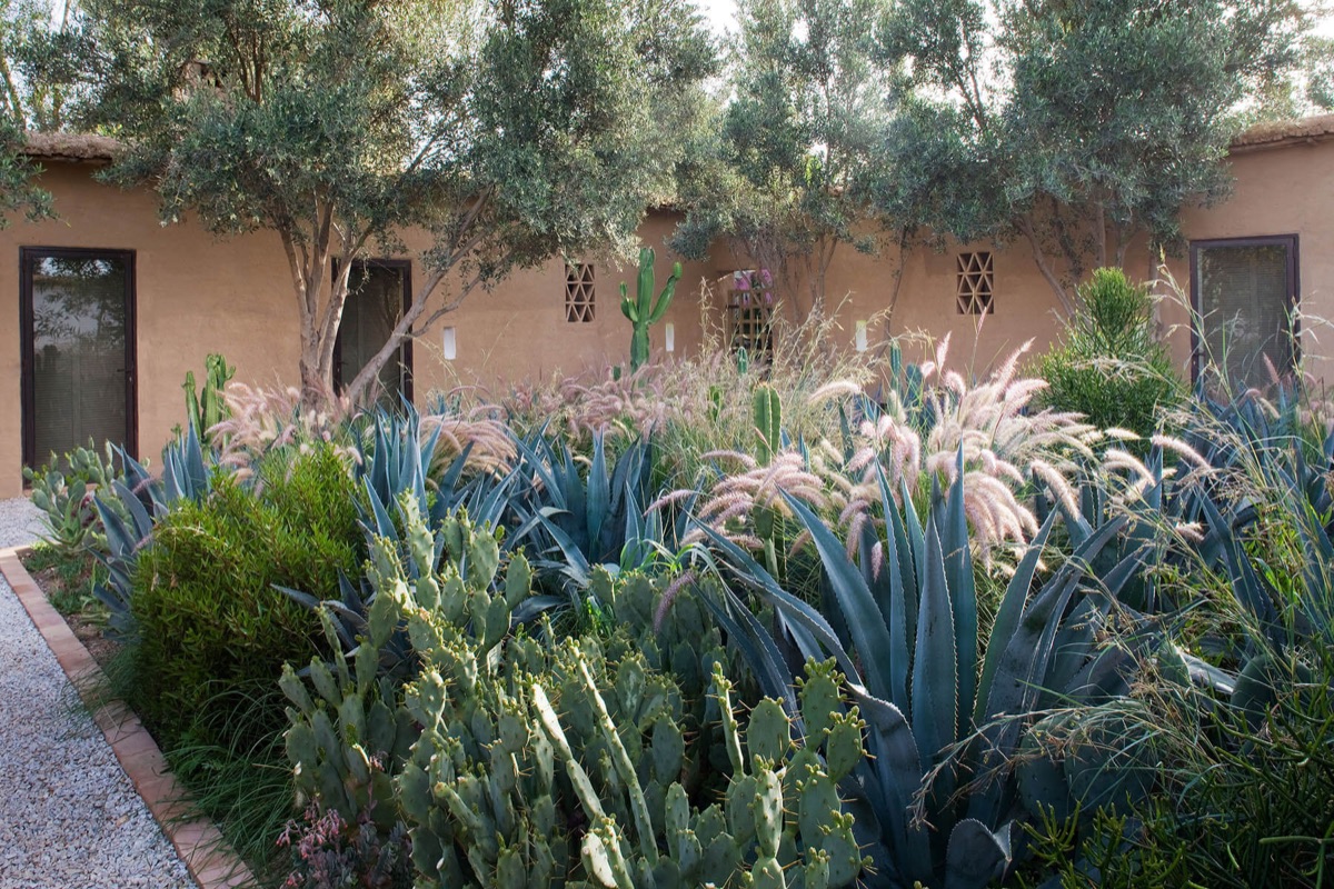 Al Hossoun – photograph 11 of 20 by Clive Nichols