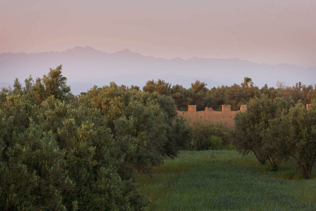 Al Hossoun – photograph 19 of 20 by Clive Nichols