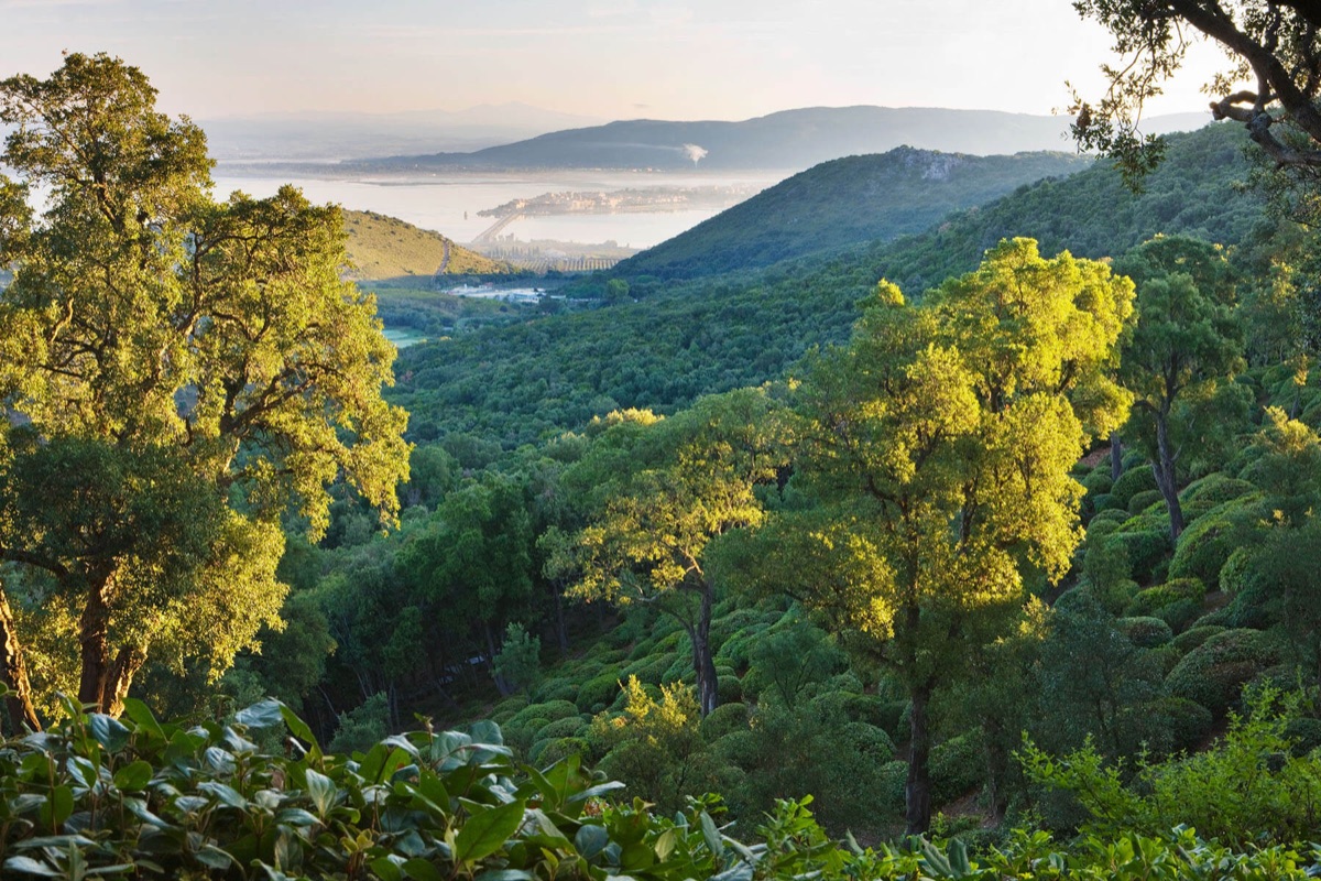 Argentario – photograph 2 of 9 by Clive Nichols
