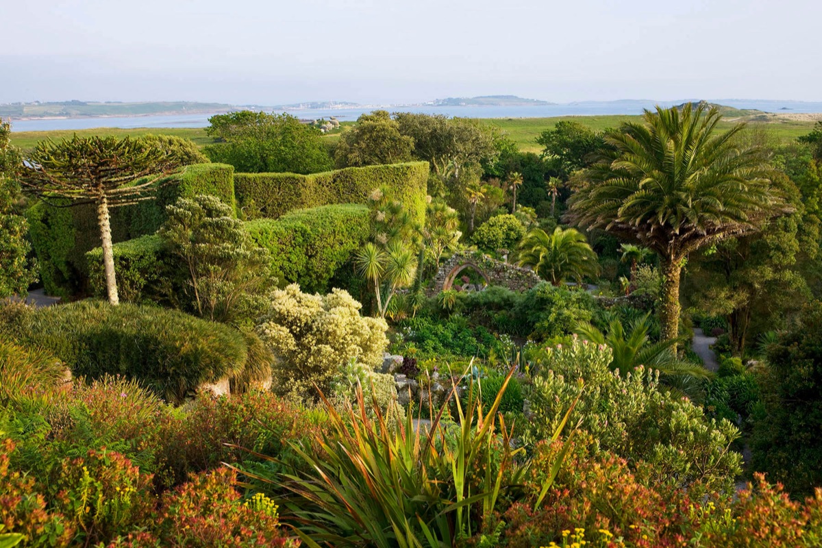 Tresco Abbey Garden – photograph 8 of 20 by Clive Nichols
