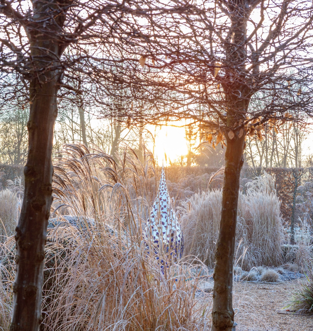 A David Harber sculpture among frosted grasses at sunrise