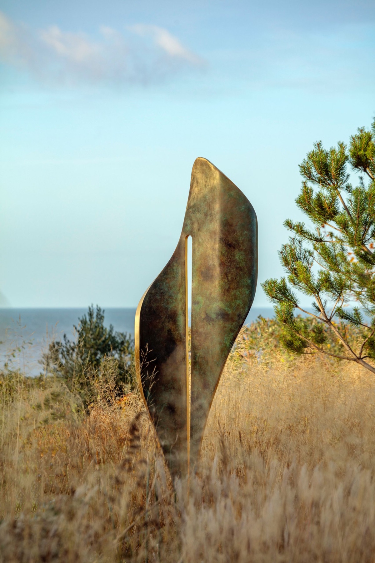 David Harber – photograph 21 of 24 by Clive Nichols