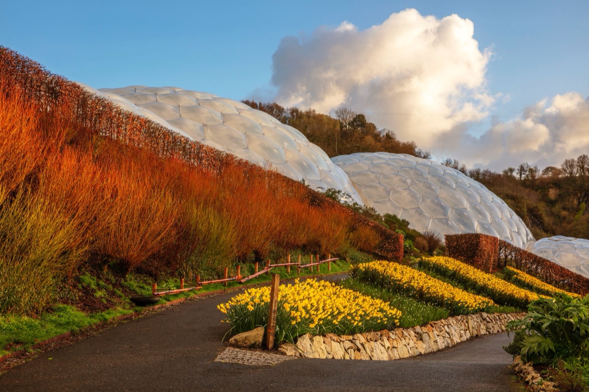A biome above the outdoor gardens at the Eden Project in the last light