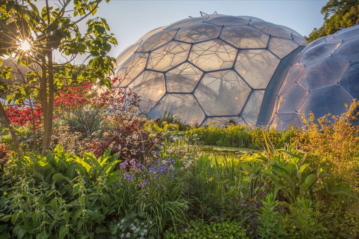 The iconic rainforest and Mediterranean biomes, and spectacular outdoor gardens, of the Eden Project, Cornwall.