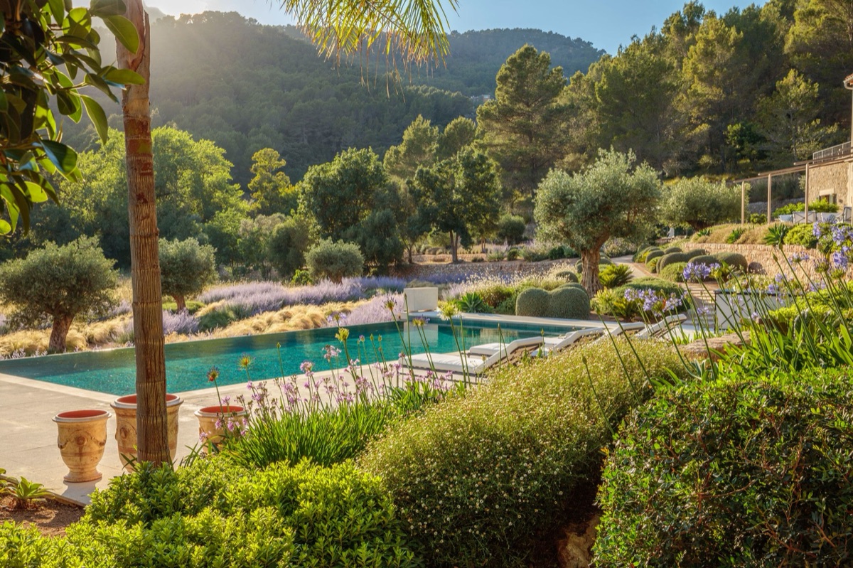 A pool set in terraced planting below wooded hills, Mallorca