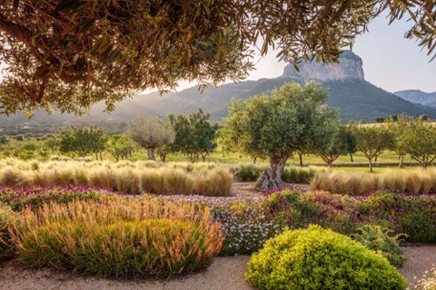 A garden by Mashamba Design