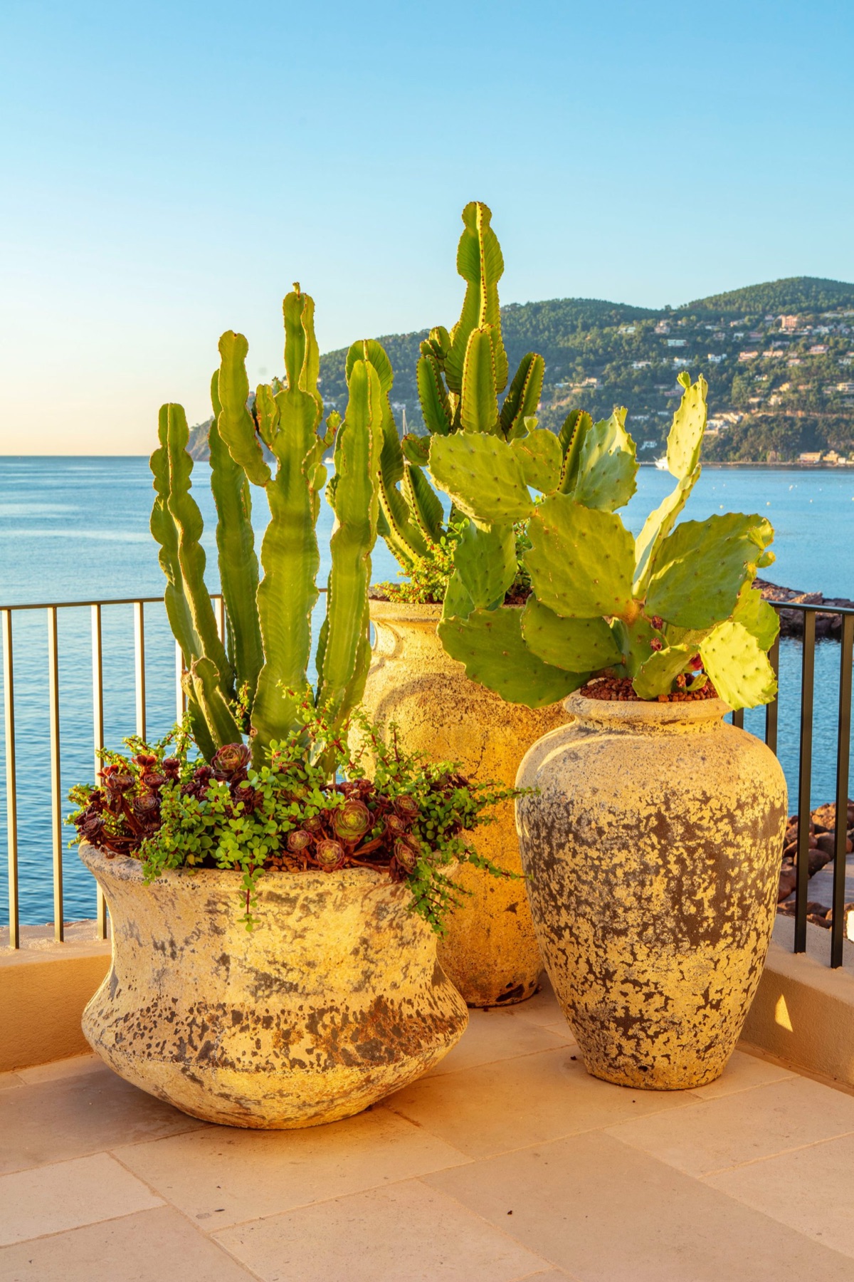 Mediterranean gardens and interiors – photograph 18 of 25 by Clive Nichols