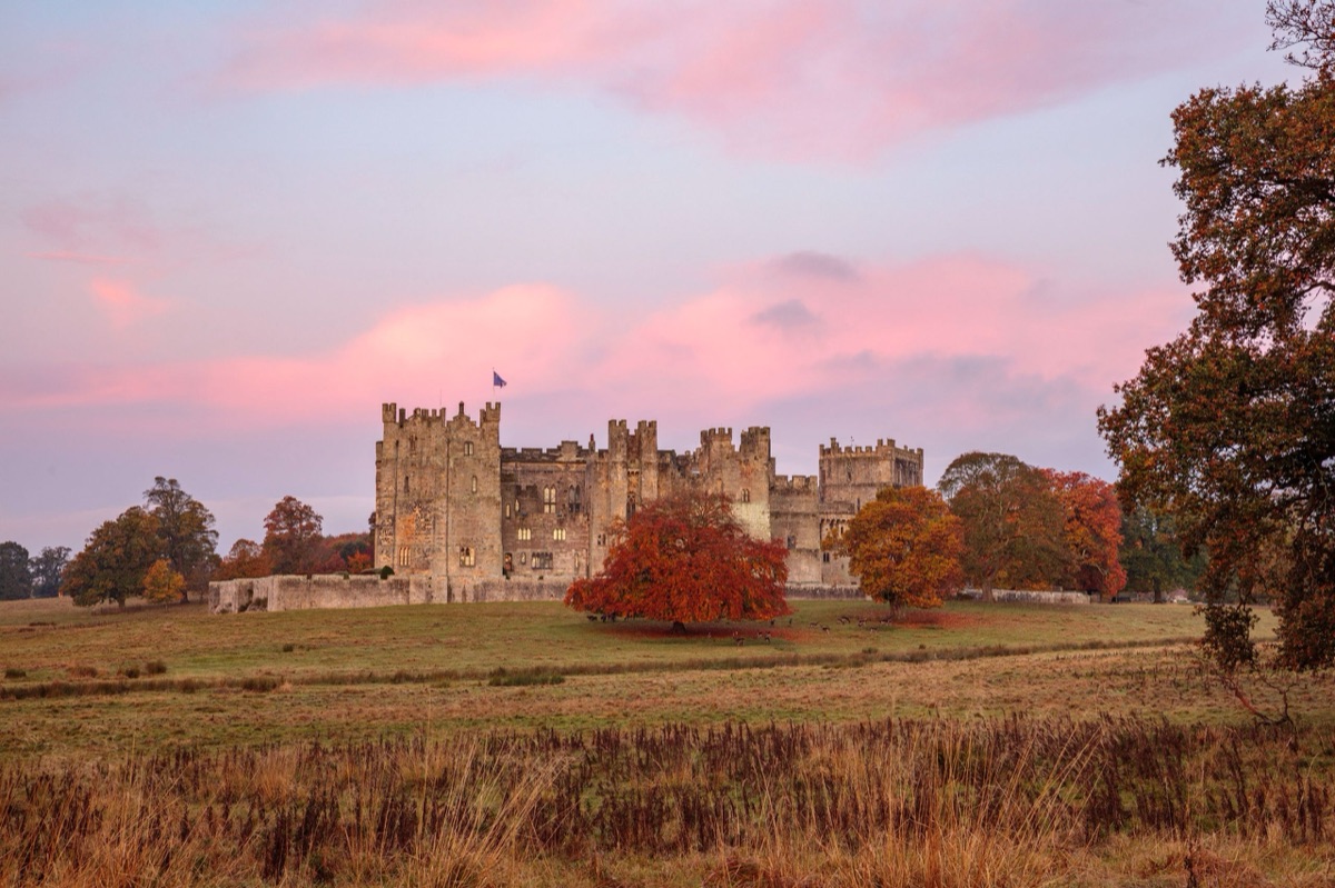 Raby Castle – photograph 2 of 13 by Clive Nichols
