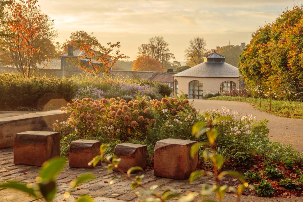 The walled garden at Raby Castle, County Durham: glasshouses, pond and gravel walks at first light