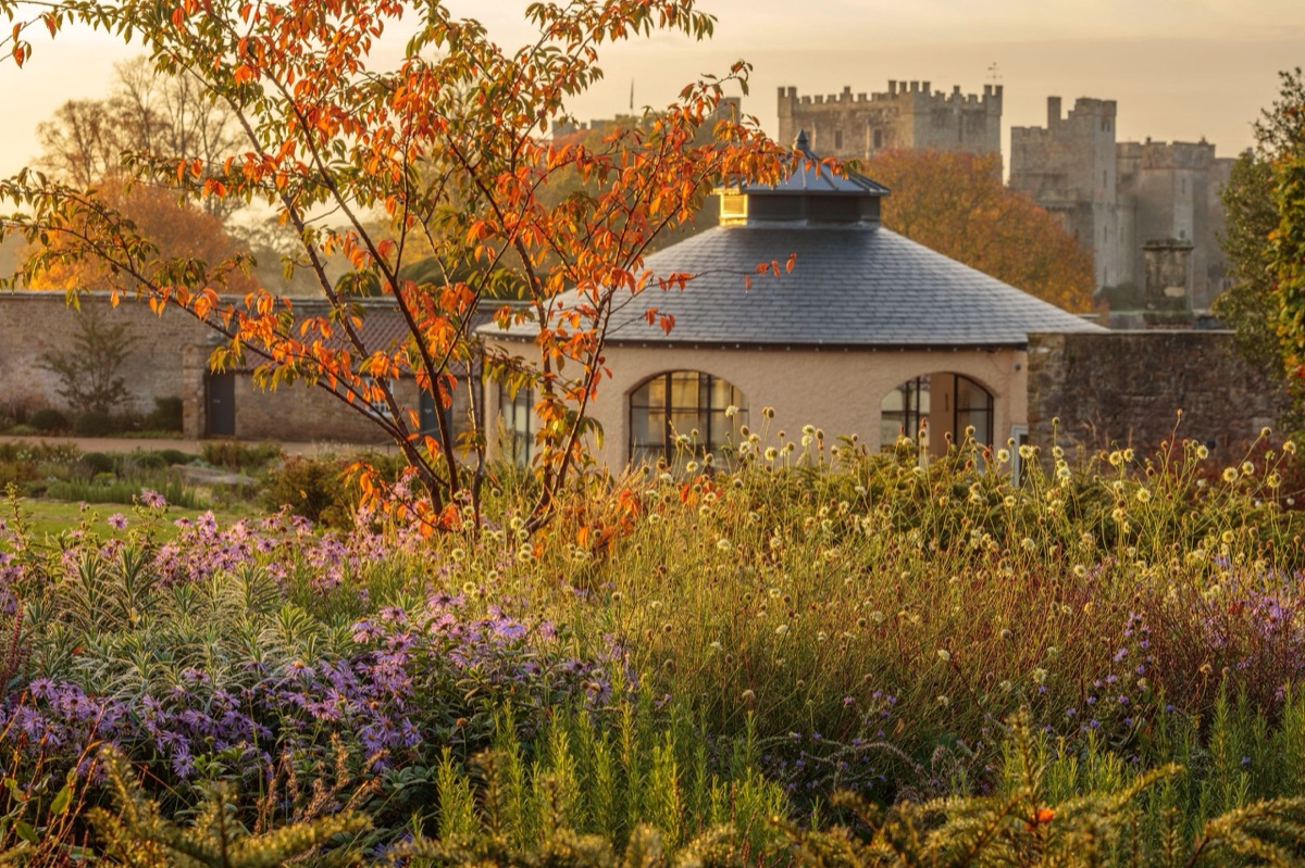 Raby Castle – photograph 12 of 13 by Clive Nichols