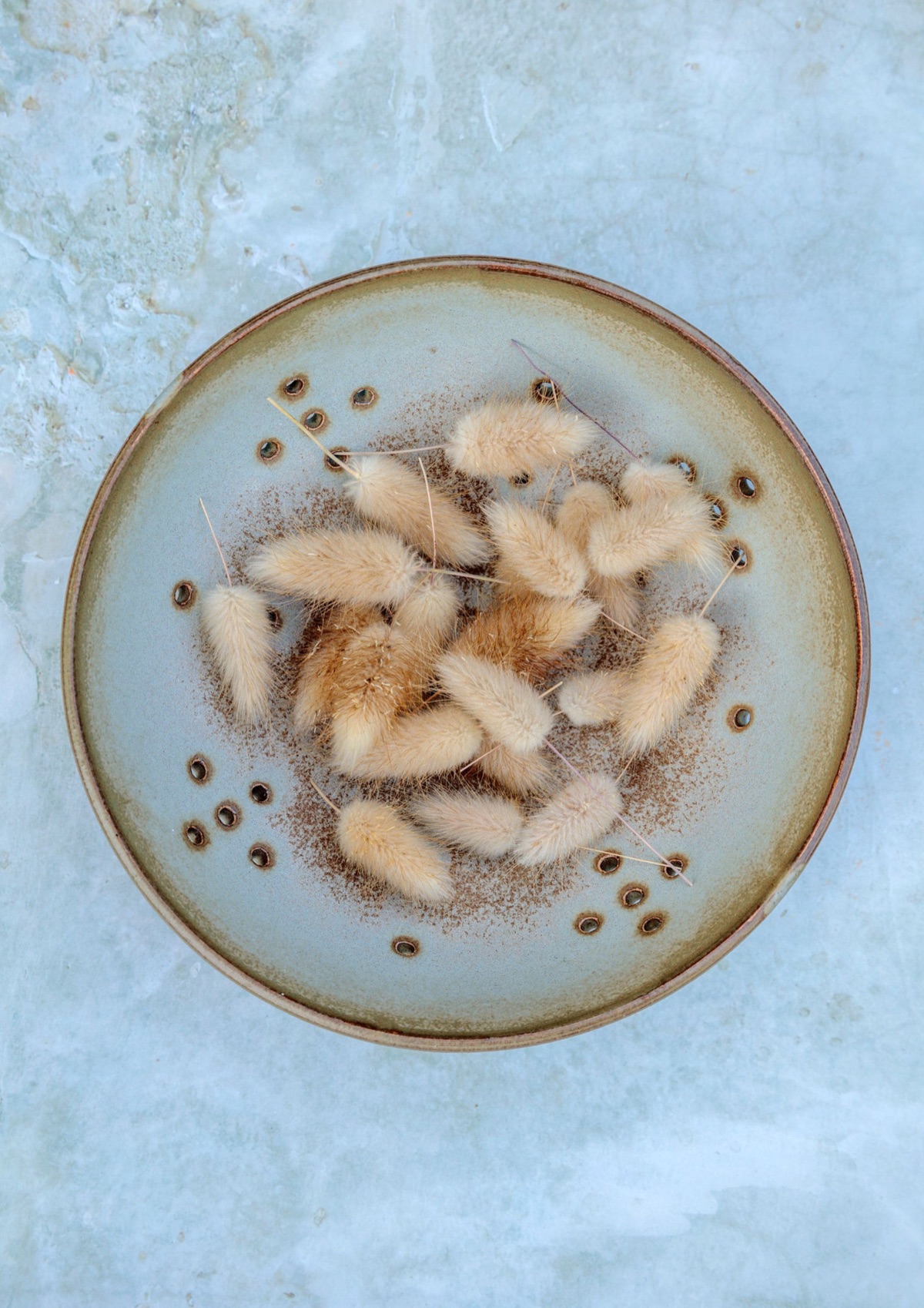 Seed collection – photograph 3 of 16 by Clive Nichols