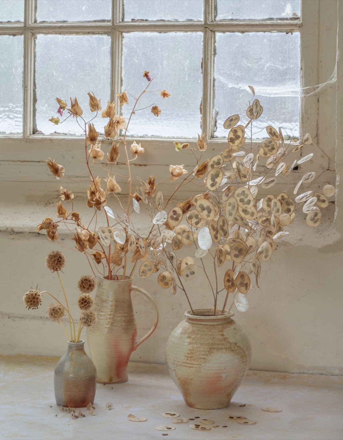 Seed collection – photograph 7 of 16 by Clive Nichols