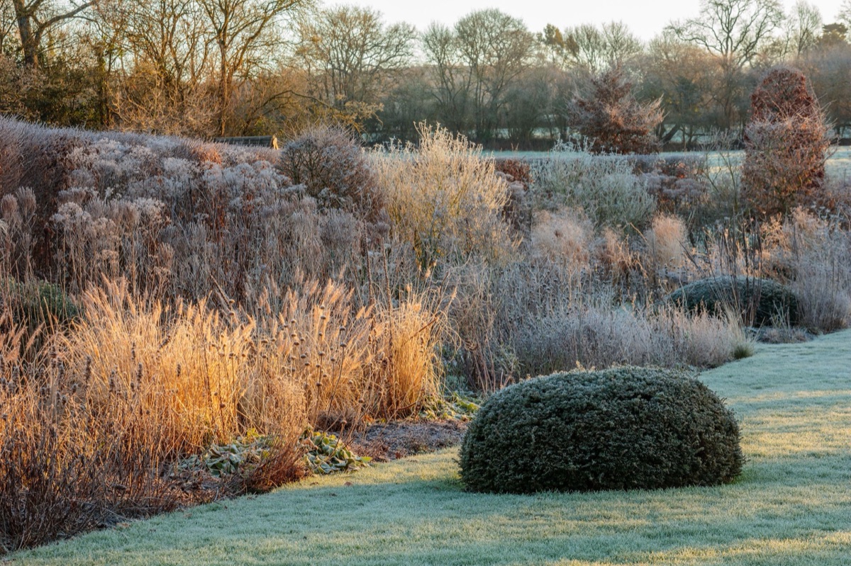 Silver Street Farm – photograph 2 of 23 by Clive Nichols