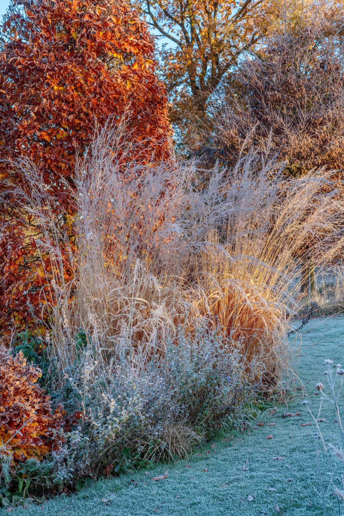Silver Street Farm – photograph 16 of 23 by Clive Nichols