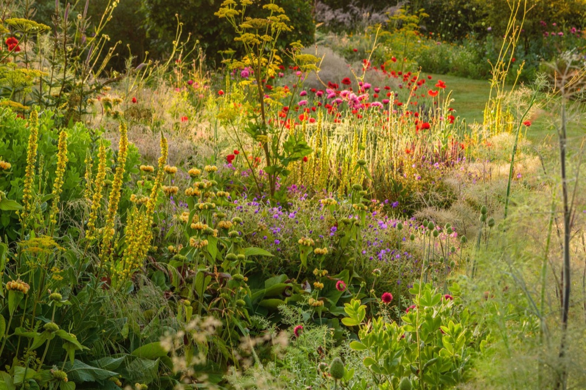 Silver Street Farm, Devon, by Cameron Gardens.