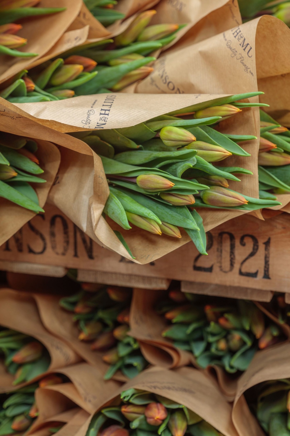 Tulips wrapped in brown paper, Smith & Munson