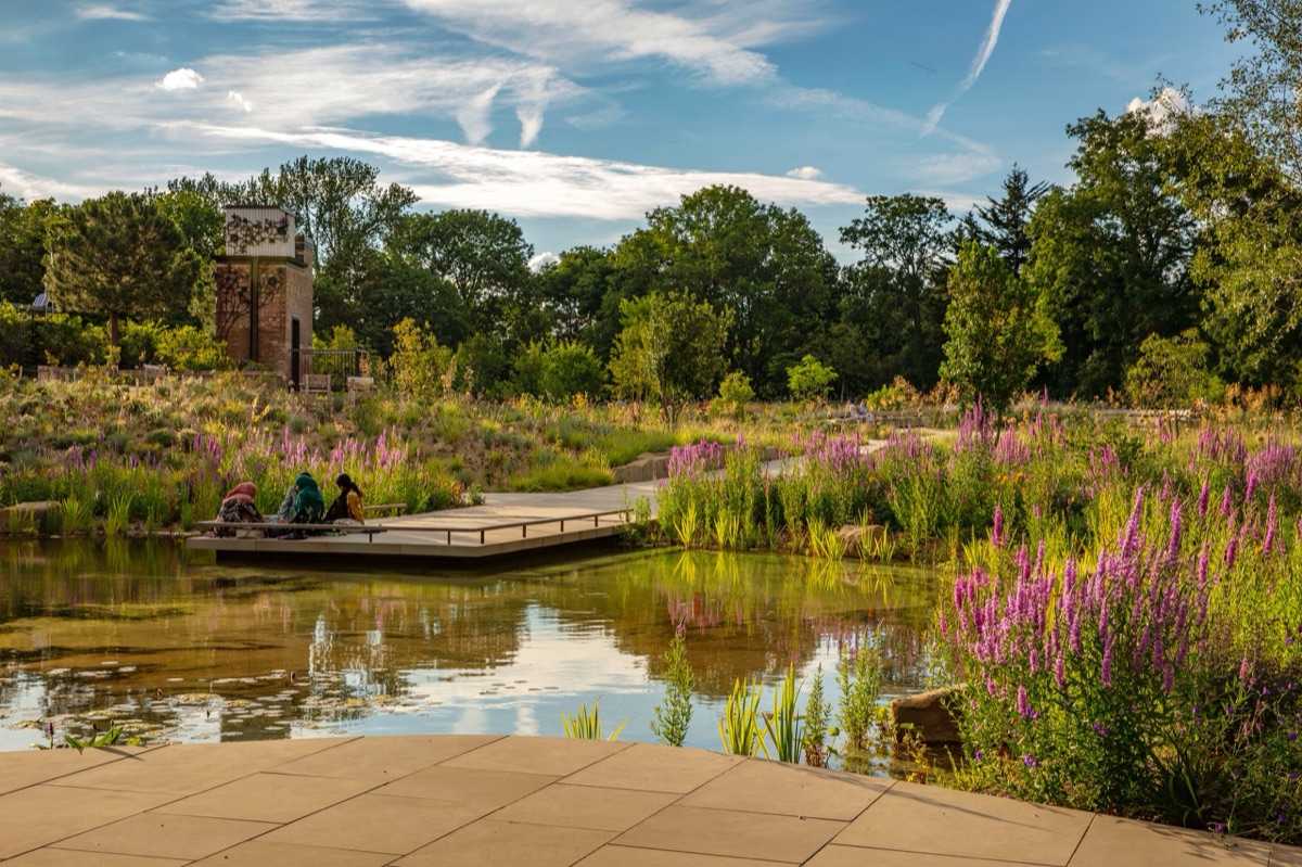 The Royal Parks – photograph 4 of 16 by Clive Nichols