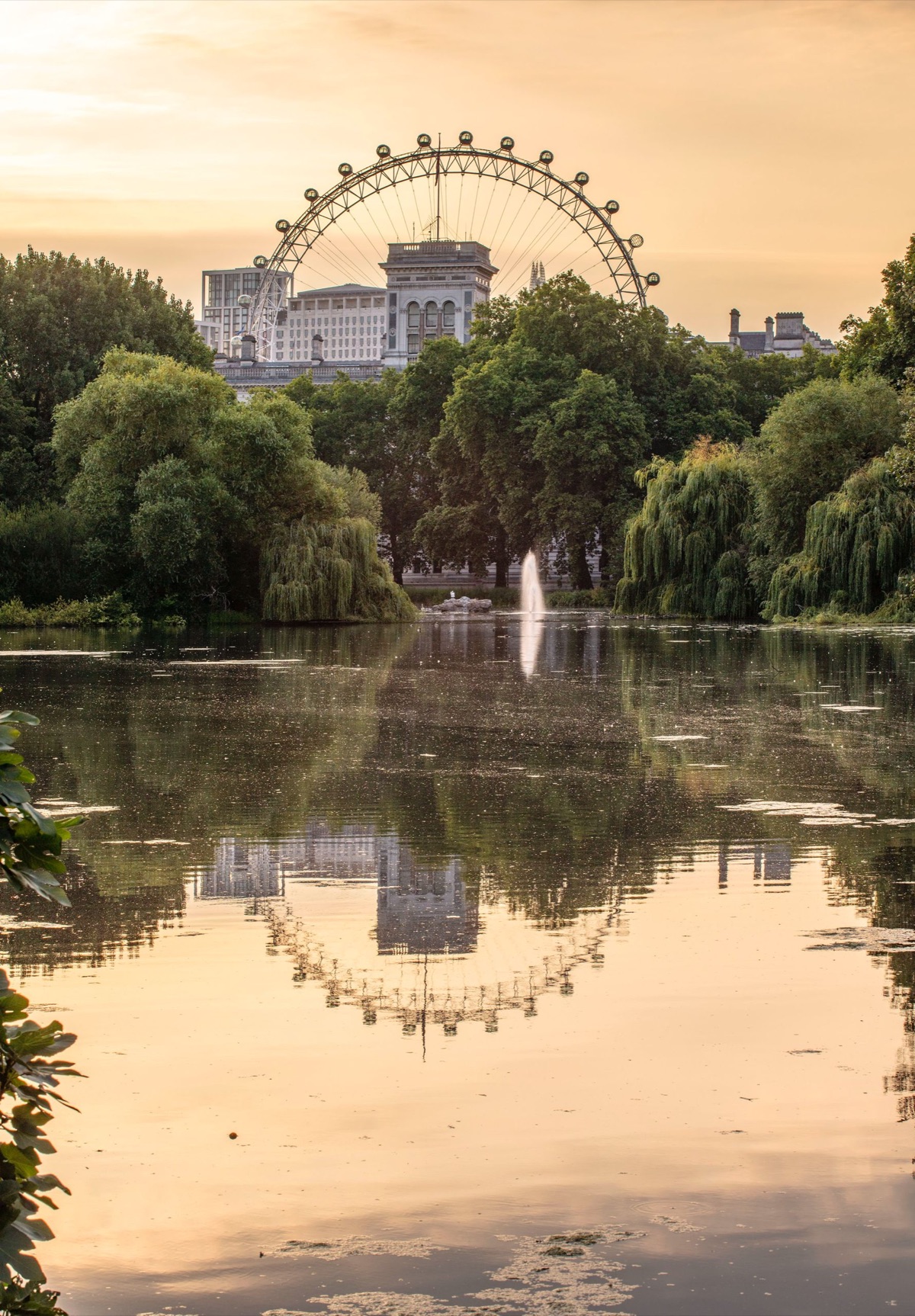 The Royal Parks – photograph 9 of 16 by Clive Nichols