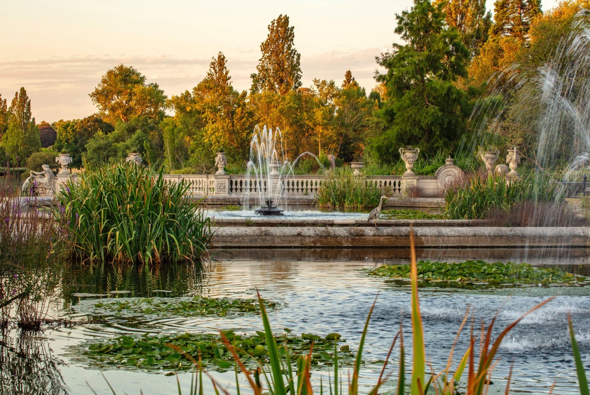 The Royal Parks – photograph 11 of 16 by Clive Nichols